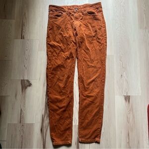 Patagonia Rust Straight Leg Pants